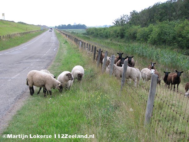 11-08-2009 042-border.jpg